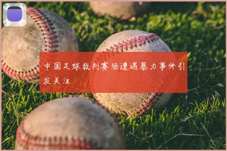中国足球裁判赛场遭遇暴力事件引发关注
