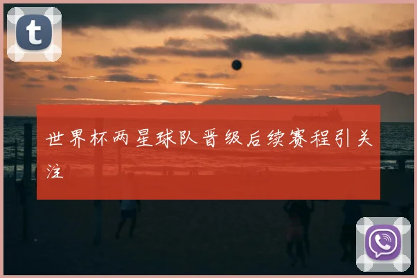 世界杯两星球队晋级后续赛程引关注