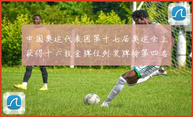 中国奥运代表团第十七届奥运会上获得十六枚金牌位列奖牌榜第四名