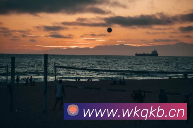 九游会·(j9)官方网站发展历程